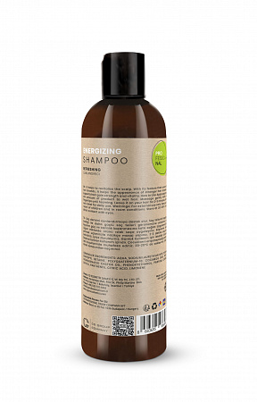 Шампунь увлажняющий / Energizing Shampoo